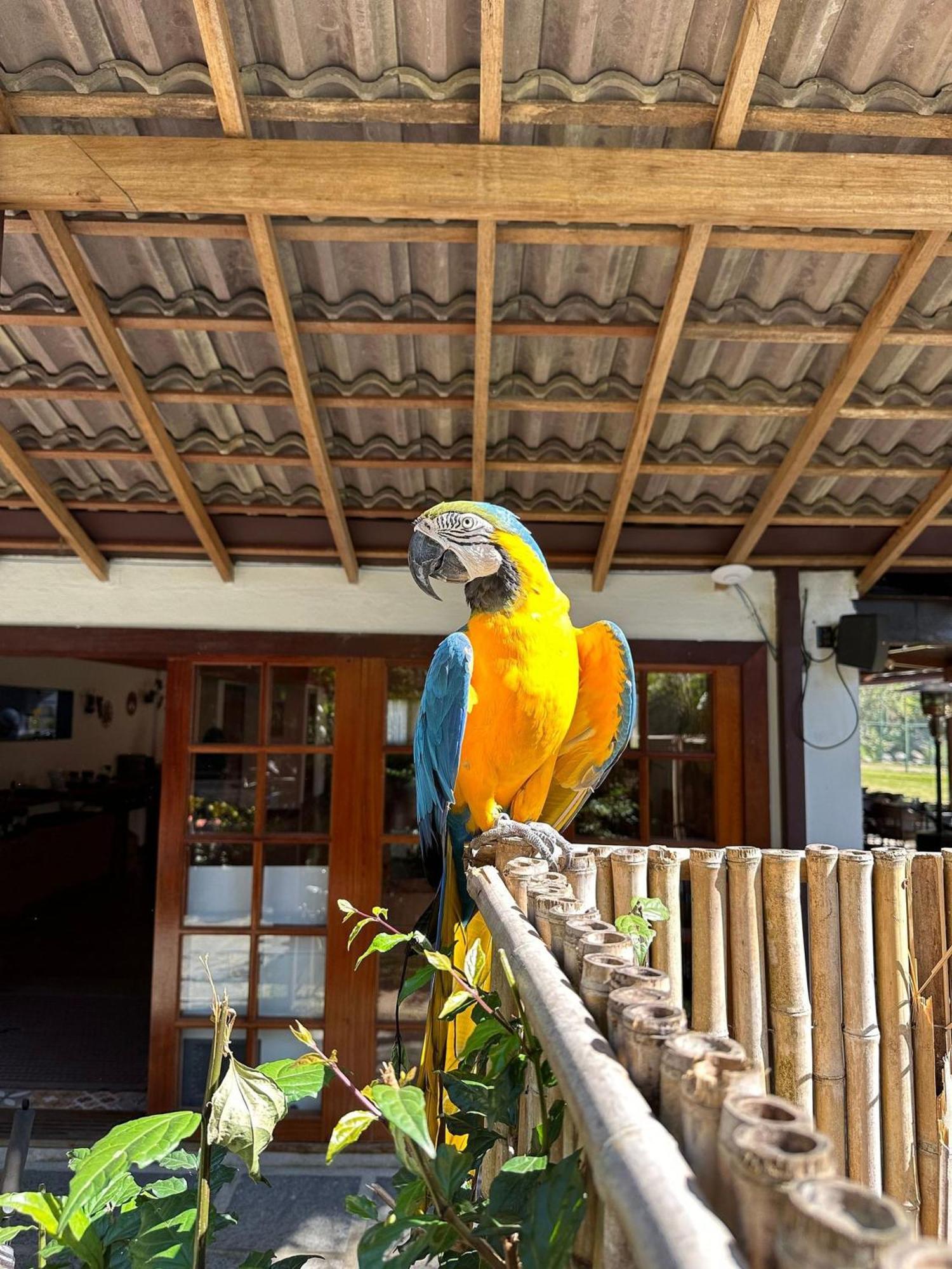 Chacara Comary Hotel Teresópolis Екстериор снимка